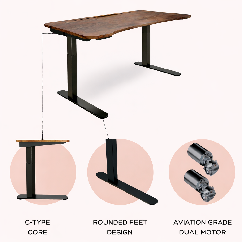 Ergonomic standing desk with rounded feet design and aviation grade dual motor for smooth height adjustment