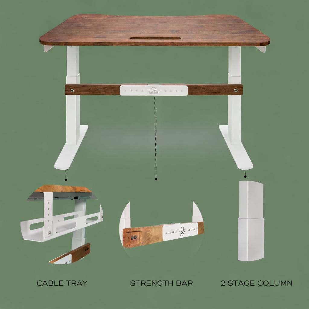 Height adjustable standing desk with solid wood top, cable tray, strength bar, and 2-stage lifting column