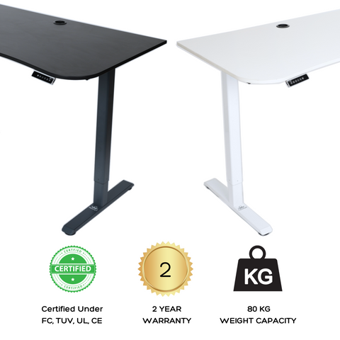 Sit-stand desk with dual color options, sturdy frame, and 2 year warranty